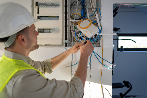Best Electric Panel Repair  in Mcdonough, GA